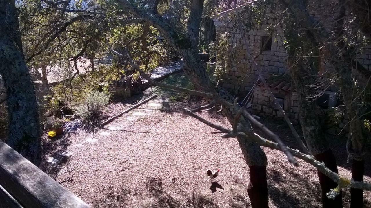 טמפיו פאוזניה Agriturismo La Vigna מראה חיצוני תמונה