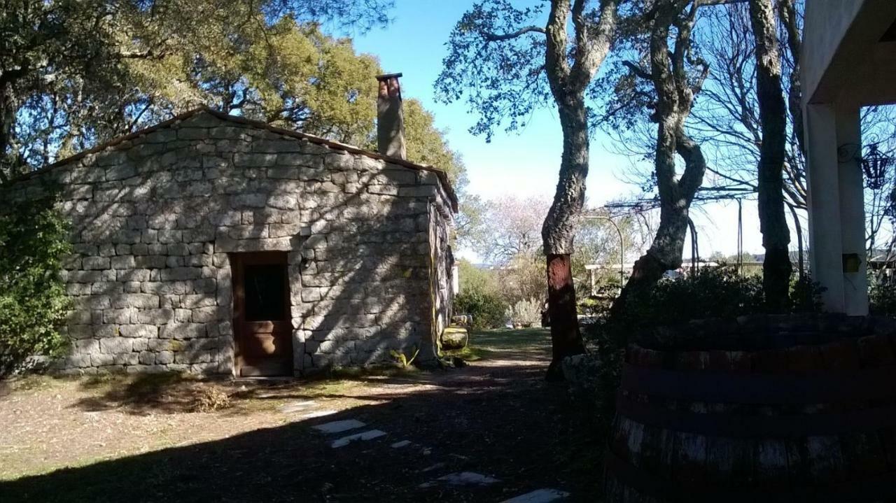 טמפיו פאוזניה Agriturismo La Vigna מראה חיצוני תמונה