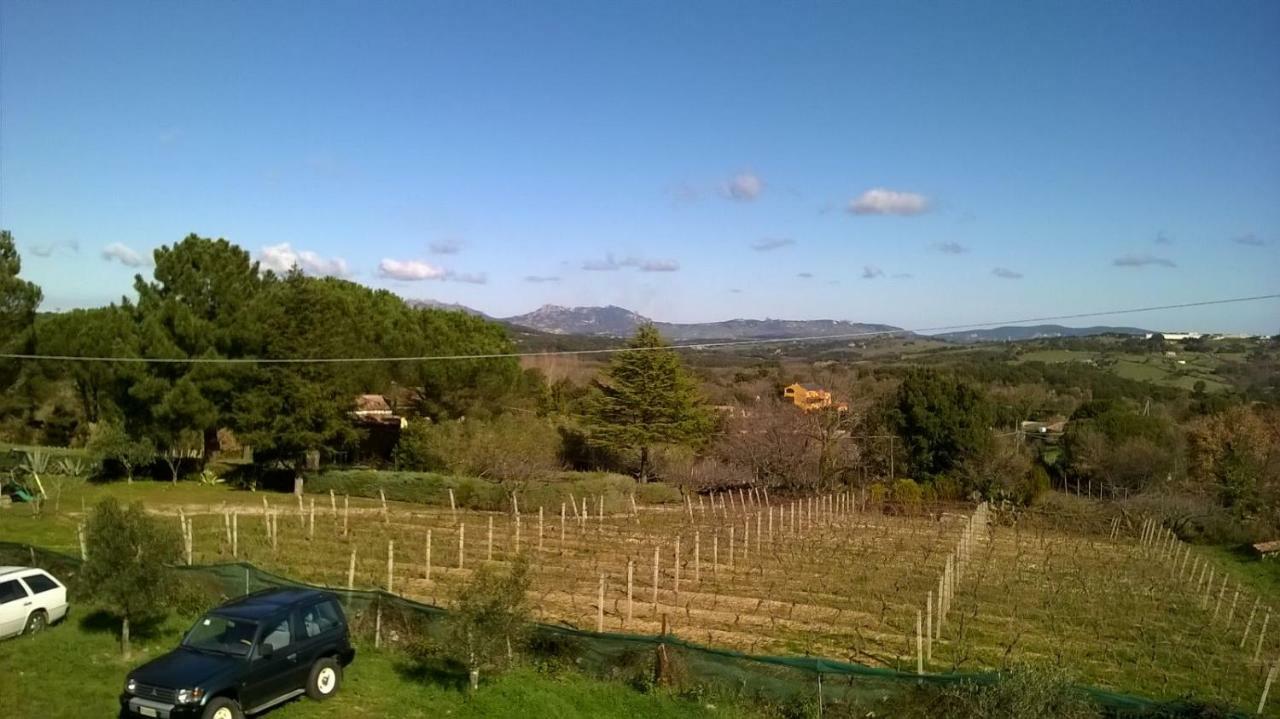 טמפיו פאוזניה Agriturismo La Vigna מראה חיצוני תמונה
