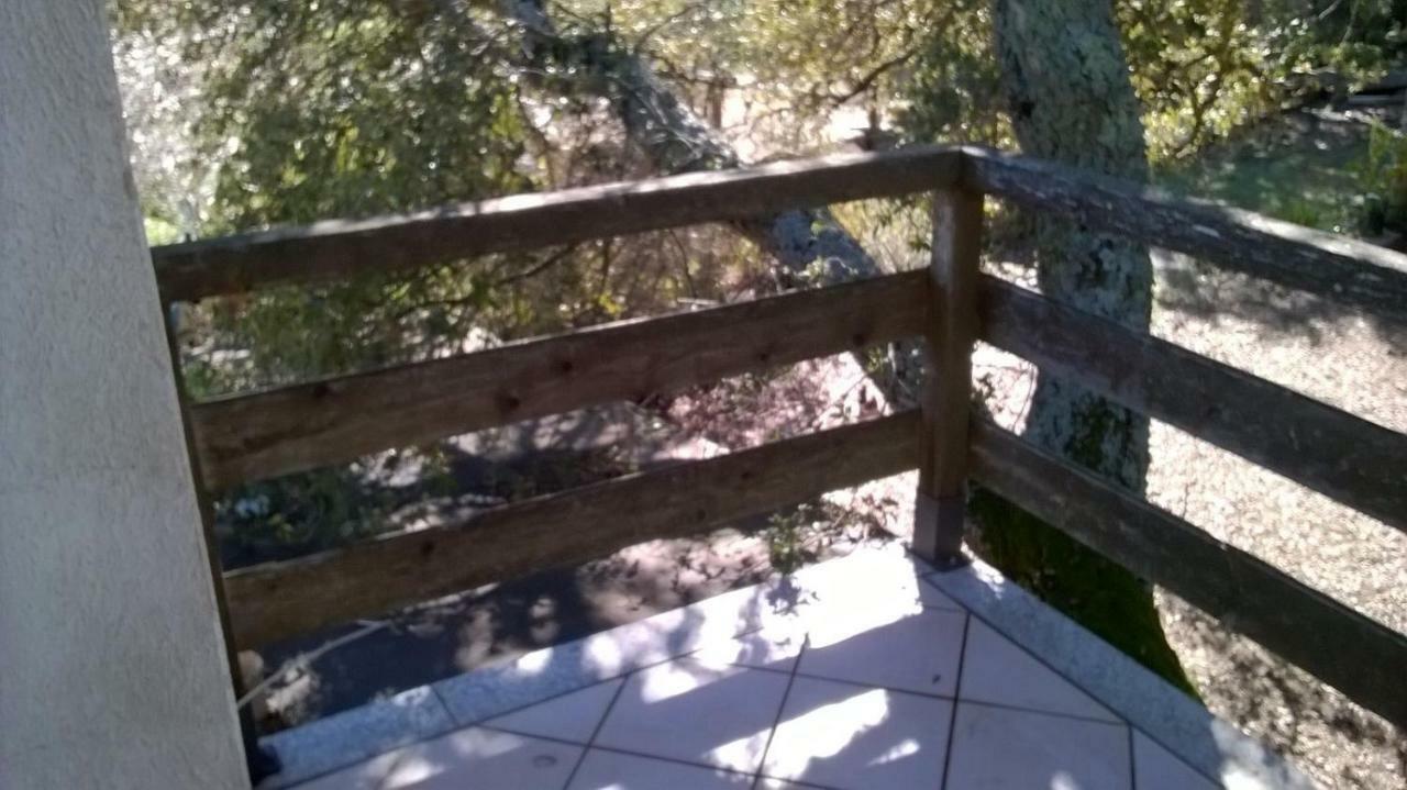 טמפיו פאוזניה Agriturismo La Vigna מראה חיצוני תמונה