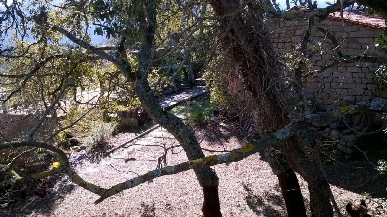 טמפיו פאוזניה Agriturismo La Vigna מראה חיצוני תמונה