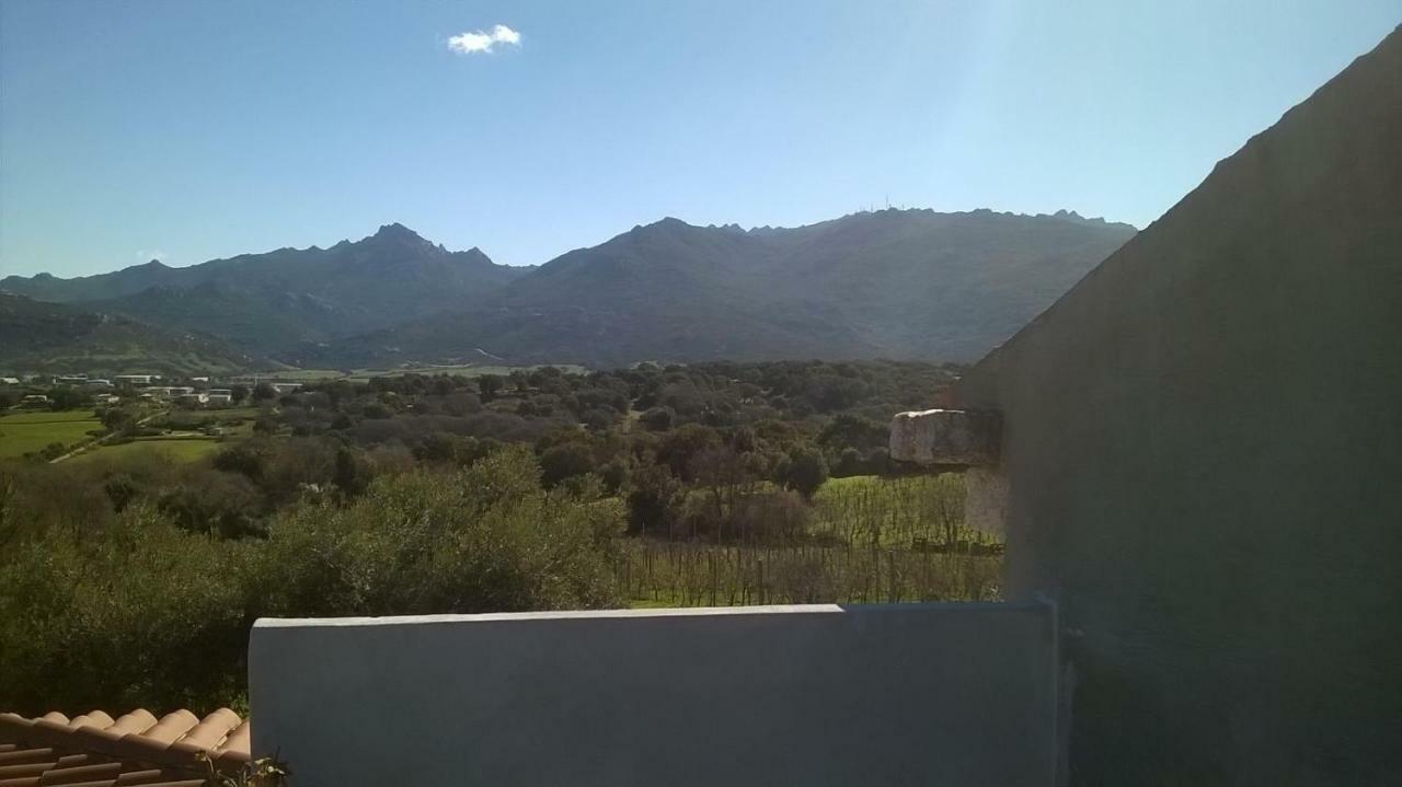 טמפיו פאוזניה Agriturismo La Vigna מראה חיצוני תמונה
