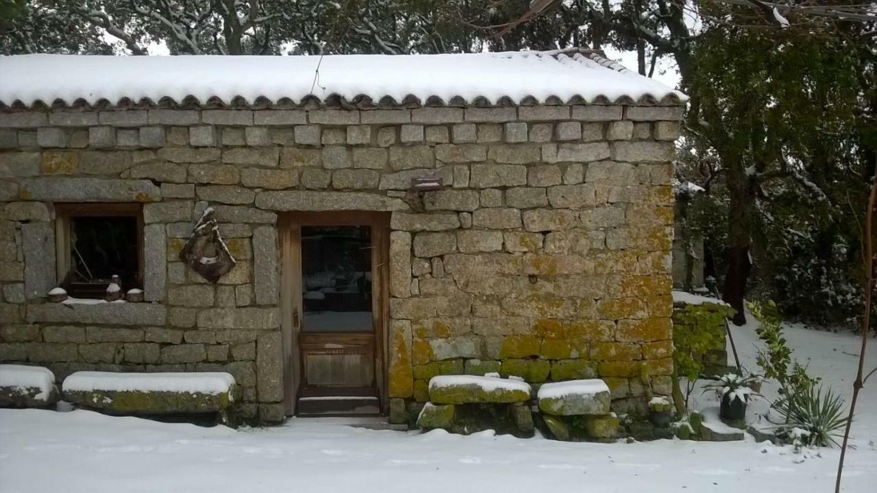 טמפיו פאוזניה Agriturismo La Vigna מראה חיצוני תמונה