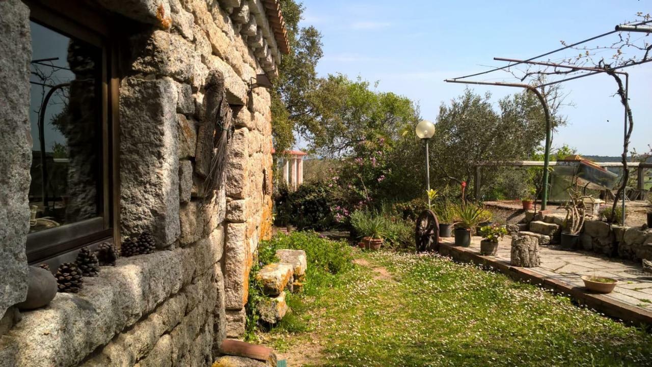 טמפיו פאוזניה Agriturismo La Vigna מראה חיצוני תמונה