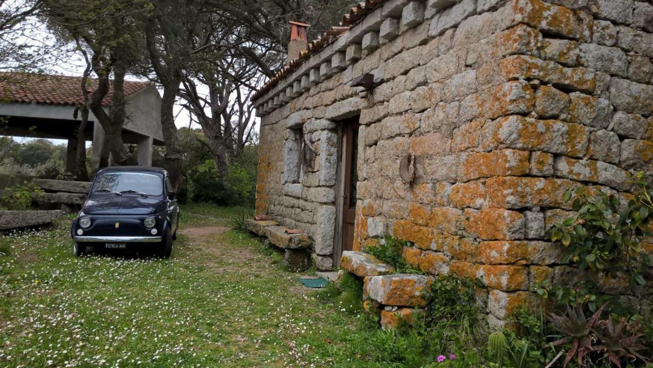 טמפיו פאוזניה Agriturismo La Vigna מראה חיצוני תמונה