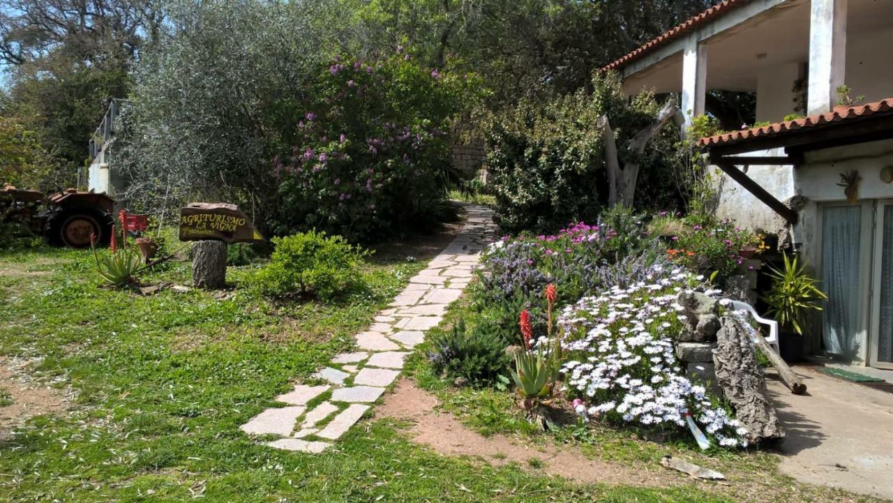טמפיו פאוזניה Agriturismo La Vigna מראה חיצוני תמונה