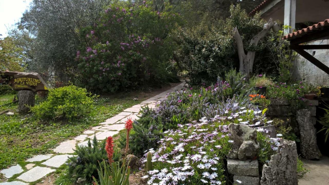 טמפיו פאוזניה Agriturismo La Vigna מראה חיצוני תמונה