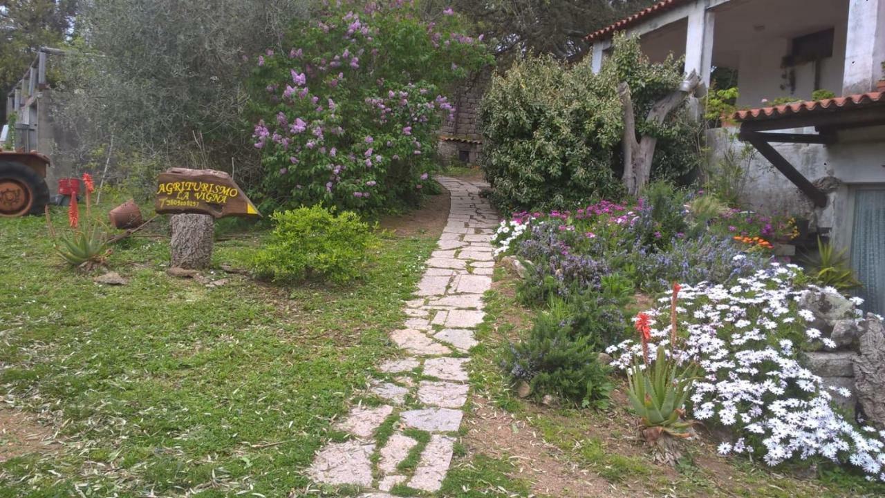 טמפיו פאוזניה Agriturismo La Vigna מראה חיצוני תמונה