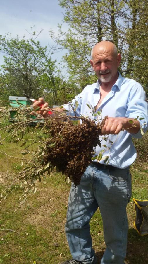 טמפיו פאוזניה Agriturismo La Vigna מראה חיצוני תמונה