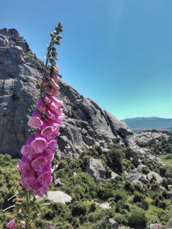 טמפיו פאוזניה Agriturismo La Vigna מראה חיצוני תמונה