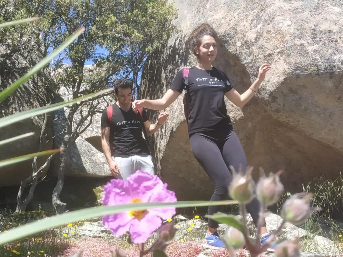 טמפיו פאוזניה Agriturismo La Vigna מראה חיצוני תמונה